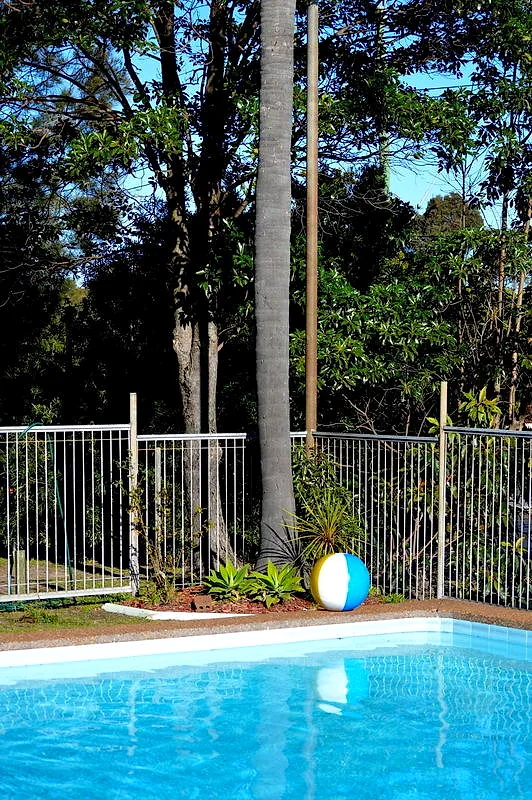 The corner of the pool at Mayfield Motel with planting and black pool fencing.